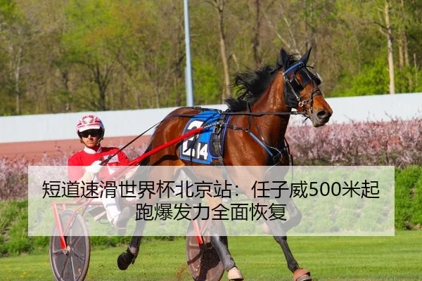 短道速滑世界杯北京站：任子威500米起跑爆发力全面恢复